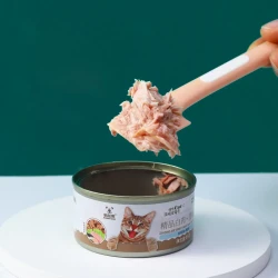 Pets Tableware Canned Spoons