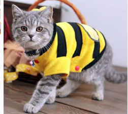 1Pcs Pet Clothes Cute Bees Dog Cat Clothes