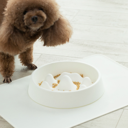 Pet Slow Food Bowl