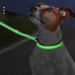 LED Luminous Nylon Mesh Pet Collar Type-c Charging Port Waterproof Dog