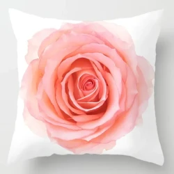 Peach Skin Fabric Cushion Cover Pillow Cover