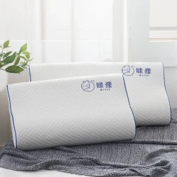 Special memory pillow for sleeping