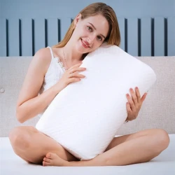 Memory Cotton Pillow Slowly Rebounds