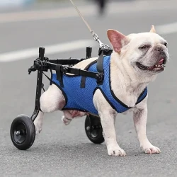 Adjustable Dog Wheelchair for Rehabilitation - Pet Mobility Aid for Disabled, Injured Dogs - Comfortable Walking Assist Cart - Allows for Bathroom Use - Pet Support for Recovery and Health