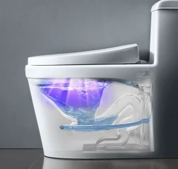 Household Ultraviolet Ozone Purifier