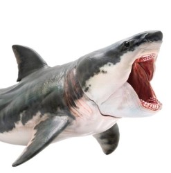 Shark simulation model