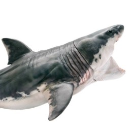 Shark simulation model