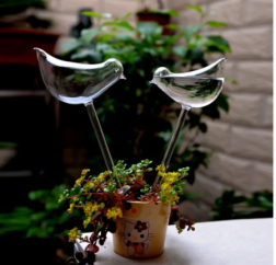 Glass Automatic Self Watering Bird Watering Cans