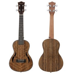 Ukulele 23