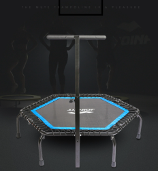 Trampoline Home Children Women Men Gym Class Trampoline Fitness Handrail Trampoline