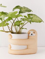 Cute, Creative And Green Plant Potted Plants