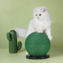 Cat Scratching Ball Board Toy Cactus Shape Scratch Sisal Post