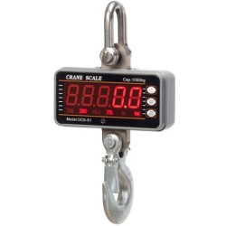 Electronic crane scale