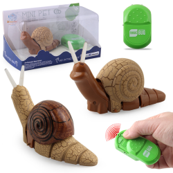 Electric Simulation Creative Insect Pet Exotic Small Toys