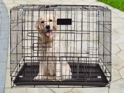 BLACK 70x50x60cm Pet Cage - 70CM Wide Collapsible Metal Pet Cage