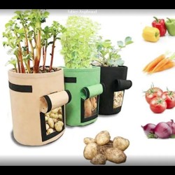 Potato Tomato Vegetable Plant Growth Bag