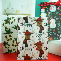 Foreign Trade New Christmas Spot Supply Cute Cartoon Paper Bag Children Snack Candy Packing Bag Paper Gift Bag