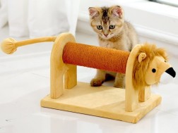 Cat Kitten Tree Scratching Post Climbing Activity Centre Sisal Bed Toy Scratcher