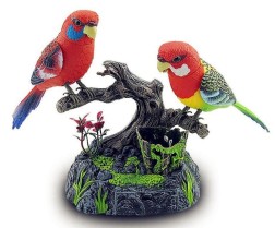 Talking Parrots Birds Toys