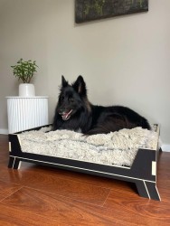 Luxury Dog bed with frame