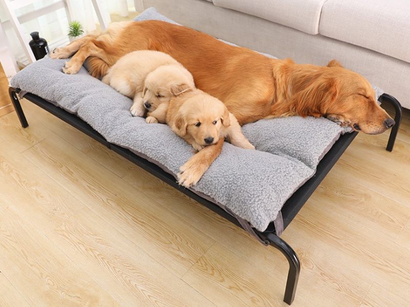 Dog Bed Mesh Elevated Raised Indoor Sleeping Cot with Mattress XL 109*72*21cm