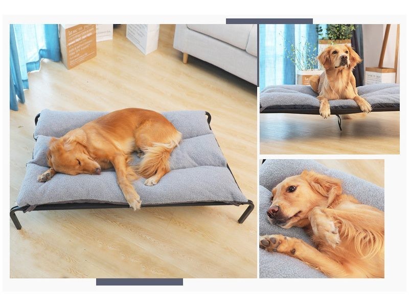 Dog Bed Mesh Elevated Raised Indoor Sleeping Cot with Mattress XL 109*72*21cm