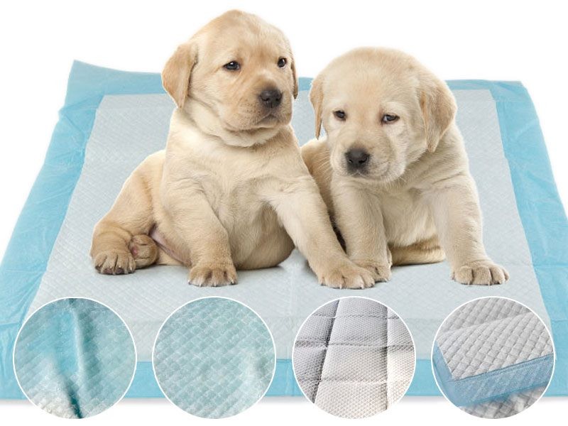 Puppy Training Pads Dog/Pet Training Pad Size S - XL