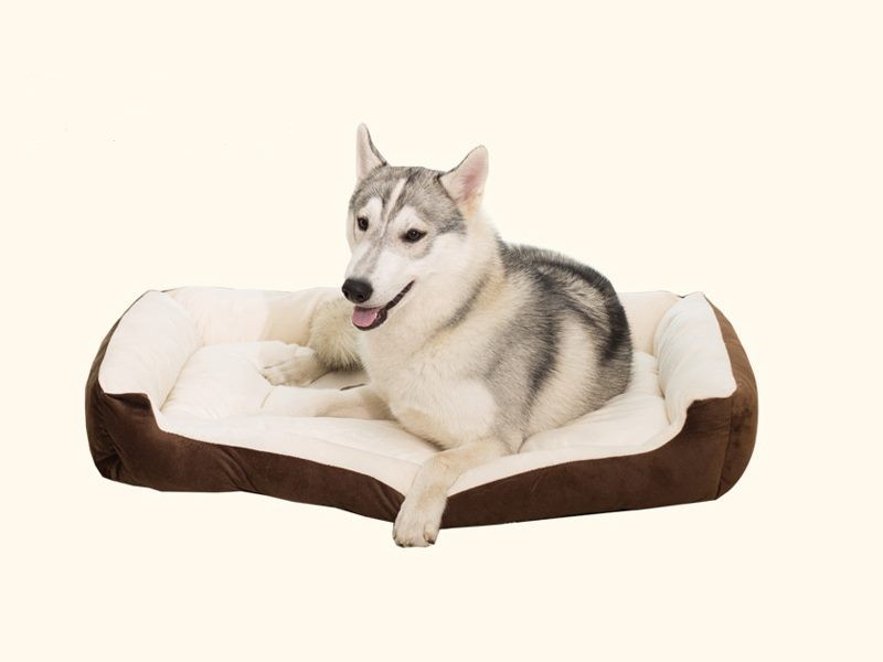 L (80X60X15CM) Soft Fleece Fabric Pet Bed Bone Grey