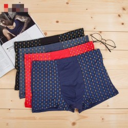 4* Boxer Underwear