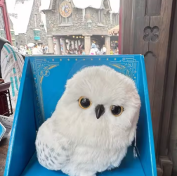 2024 New Arrival: Beijing Movie Park's Hedwig Owl Station Shoulder Interactive Voice-Activated Snowy Owl Toy