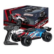 36km/h High Speed 1/18 RC Car Model Remote Control Truck RTR Vehicle Off-road