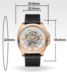 Men's Automatic Mechanical Movement Waterproof Watch