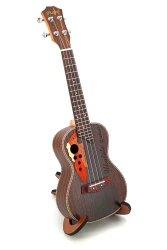 Ukulele small guitar