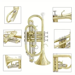 Slade Lds826 Brass B-Flat Cornet | Compact Mini Trumpet for Beginners |  Includes Protective Case, White Gloves & Cleaning Kit