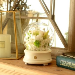 Teacher's Day Gift Simple Preserved Fresh Flower Bluetooth Speaker