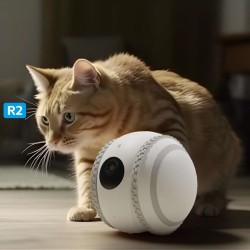 Pet Companion Robot Cat Monitoring