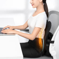 Ergonomic Cushion Negative Ion Waist Pillow