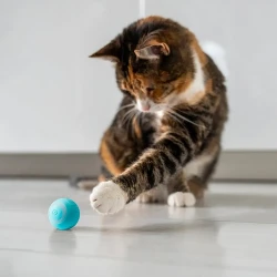 Electric Ball Cat Toy