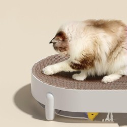 Multi Functional Non Chip Cat Grabbing Board