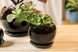 Round ceramic planters